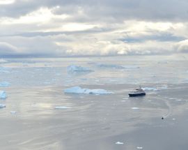 Realm of the Penguins Photo 11