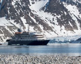 Ultimate Wildlife; Falklands, South Georgia & Antarctica Photo 1