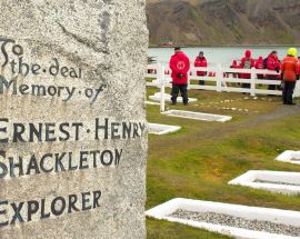 Ultimate Wildlife; Falklands, South Georgia & Antarctica Photo 4