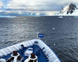 Ultimate Wildlife; Falklands, South Georgia & Antarctica Photo 5