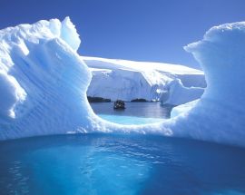 Ultimate Wildlife; Falklands, South Georgia & Antarctica Photo 10