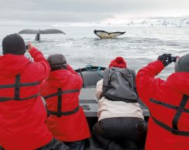 Antarctic Circle Photo 9