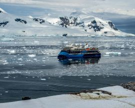 South Shetland Islands & Antarctic Peninsula Photo 1