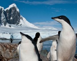 Spirit of Antarctica Photo 6