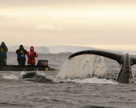 Spirit of Antarctica Photo 7