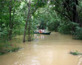 Voyage to the Heart of the Brazilian Amazon Photo 2