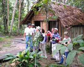 Voyage to the Heart of the Brazilian Amazon Photo 6