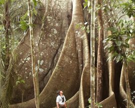 Voyage to the Heart of the Brazilian Amazon Photo 7