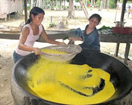 Voyage to the Heart of the Brazilian Amazon Photo 8