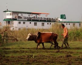 India's Brahmaputra - Rhinos & More Photo 1