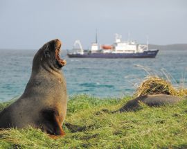 Beyond Fiordland: New Zealand's Wildest Islands Photo 1