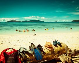 Jewels of Raja Ampat Photo 4