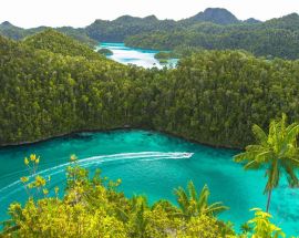 Jewels of Raja Ampat Photo 6