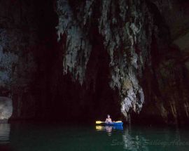 Jewels of Raja Ampat Photo 8
