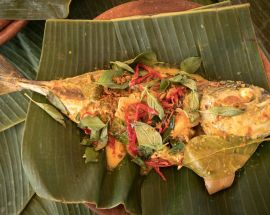 Jewels of Raja Ampat Photo 9