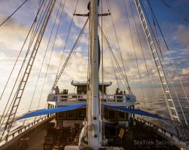 Jewels of Raja Ampat Photo 10