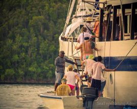 SeaTrek With Whale Sharks, Corals & Dragons Photo 7