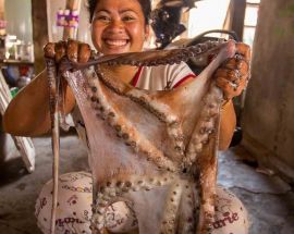 SeaTrek With Whale Sharks, Corals & Dragons Photo 8