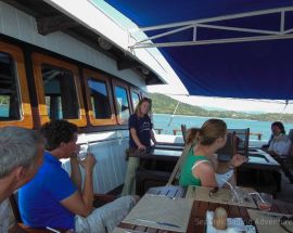 SeaTrek With Whale Sharks, Corals & Dragons Photo 10