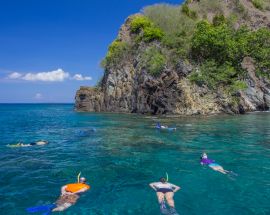 SeaTrek With Whale Sharks, Corals & Dragons Photo 15