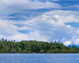 SeaTrek With Whale Sharks, Corals & Dragons Photo 16