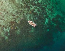 Indonesia's Raja Ampat Photo 2