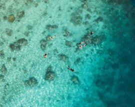 Indonesia's Raja Ampat Photo 7