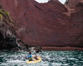 Aqua Mare's East Galápagos Islands Photo 6