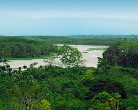 Peruvian Amazon 7-Night Expedition Photo 3