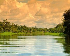 Peruvian Amazon 7-Night Expedition Photo 5
