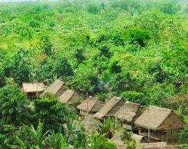 Peruvian Amazon 7-Night Expedition Photo 8