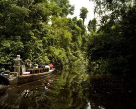 Peruvian Amazon 7-Night Expedition Photo 9