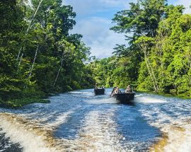 Peruvian Amazon 7-Night Expedition Photo 12