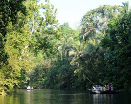 Discover the Secrets of Melanesia Photo 4