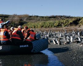 Darwin's Route from Ushuaia Photo 5