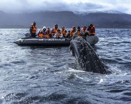Darwin's Route from Ushuaia Photo 12