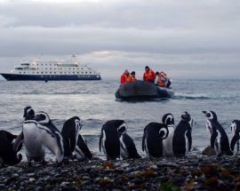 Darwin's Route from Ushuaia Photo 13