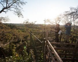 Ecuadorian Amazon 7-Night Cruise Photo 6