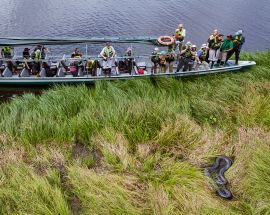 Ecuadorian Amazon 7-Night Cruise Photo 11