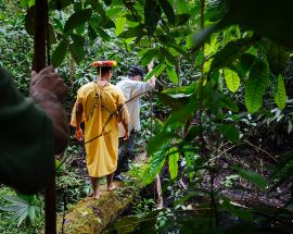 Ecuadorian Amazon 7-Night Cruise Photo 12