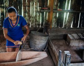 Ecuadorian Amazon 7-Night Cruise Photo 14