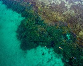 Abrolhos Islands Discovery Photo 2