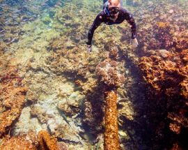 Abrolhos Islands Discovery Photo 5