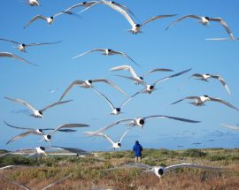 Abrolhos Islands Discovery Photo 6