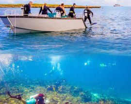 Abrolhos Islands Discovery Photo 7