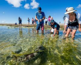 Abrolhos Islands Discovery Photo 9