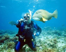 Abrolhos Islands Discovery Photo 11