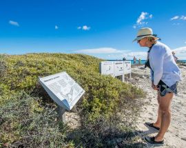 Abrolhos Islands Discovery Photo 12