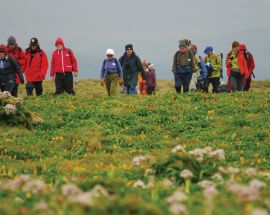 Macquarie Island: Galapagos of the Southern Ocean Photo 6
