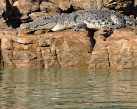 Kimberley Dream Cruise from Broome Photo 7